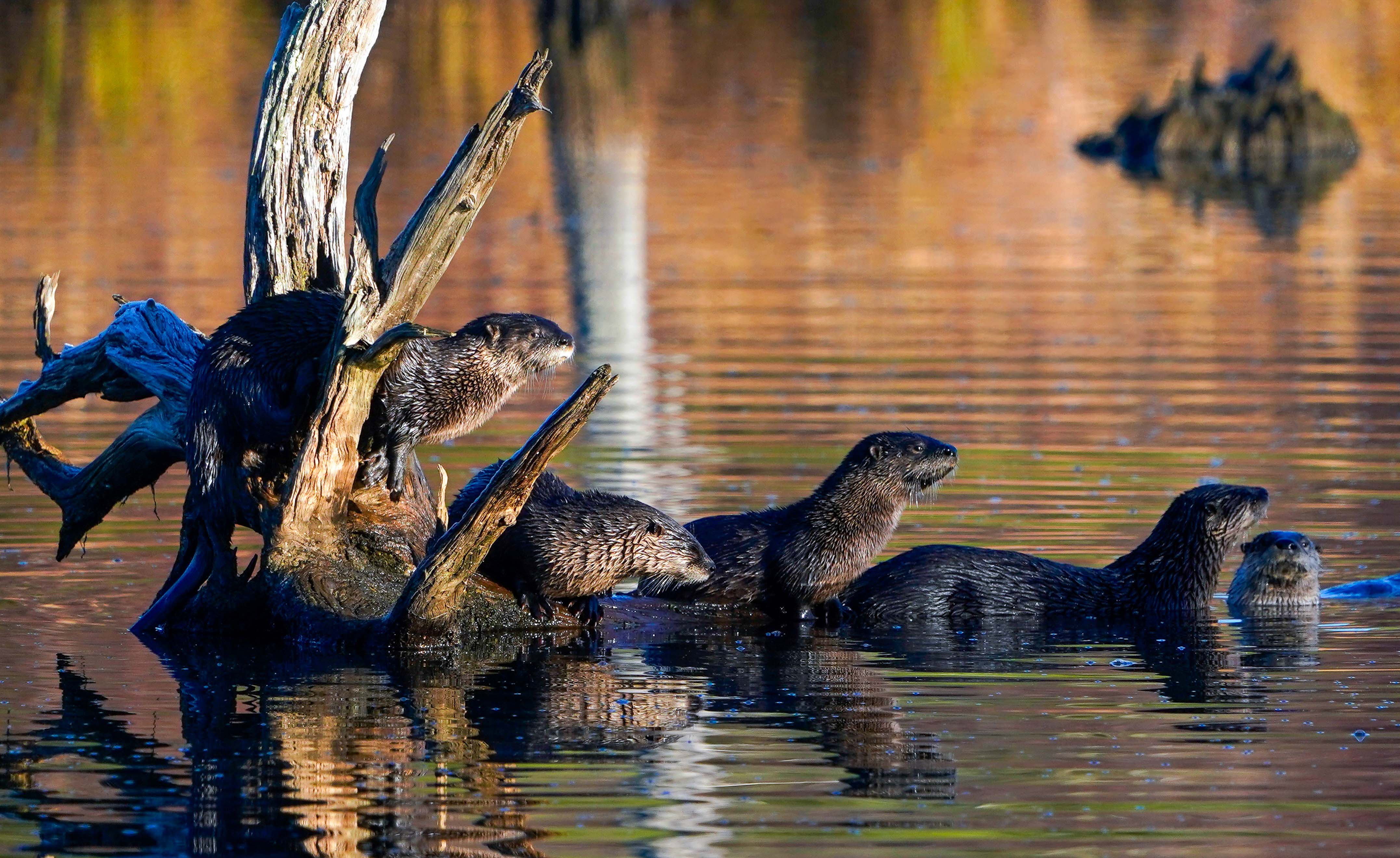 November 2025 Photo Contest Winner