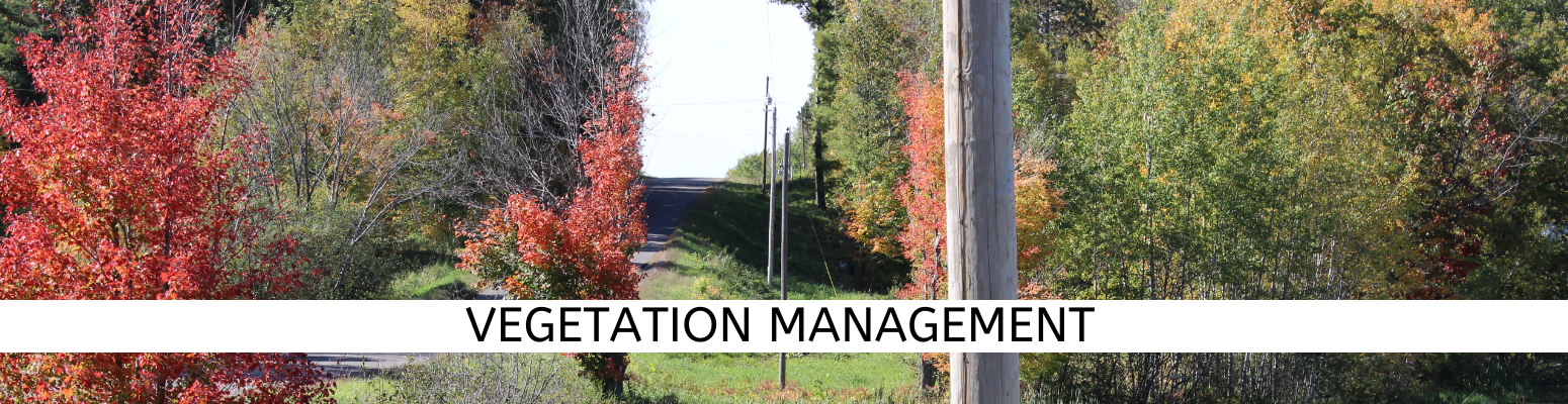 Vegetation Management 