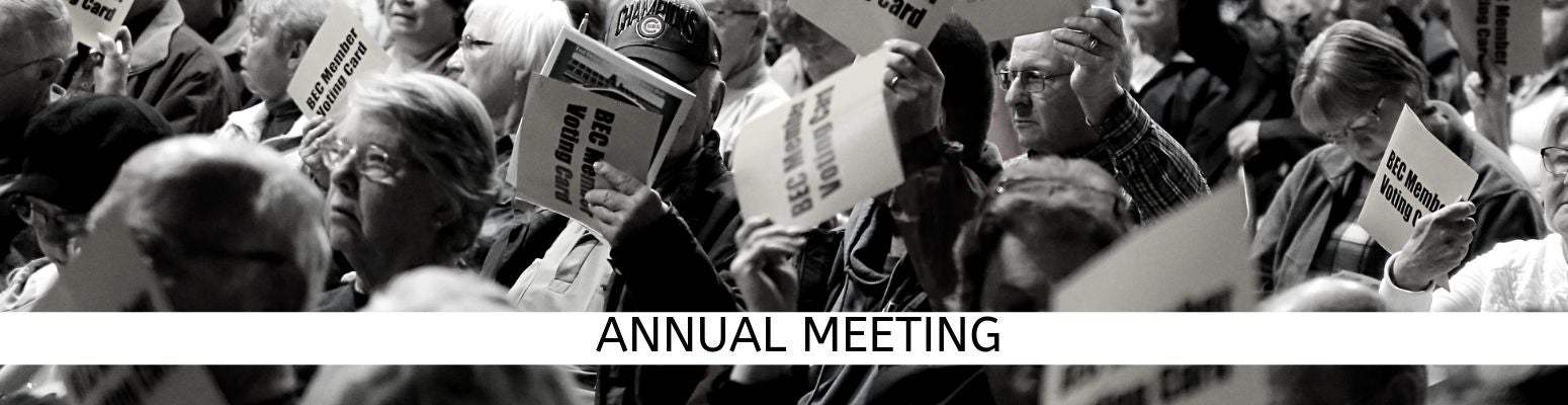 Annual Meeting 