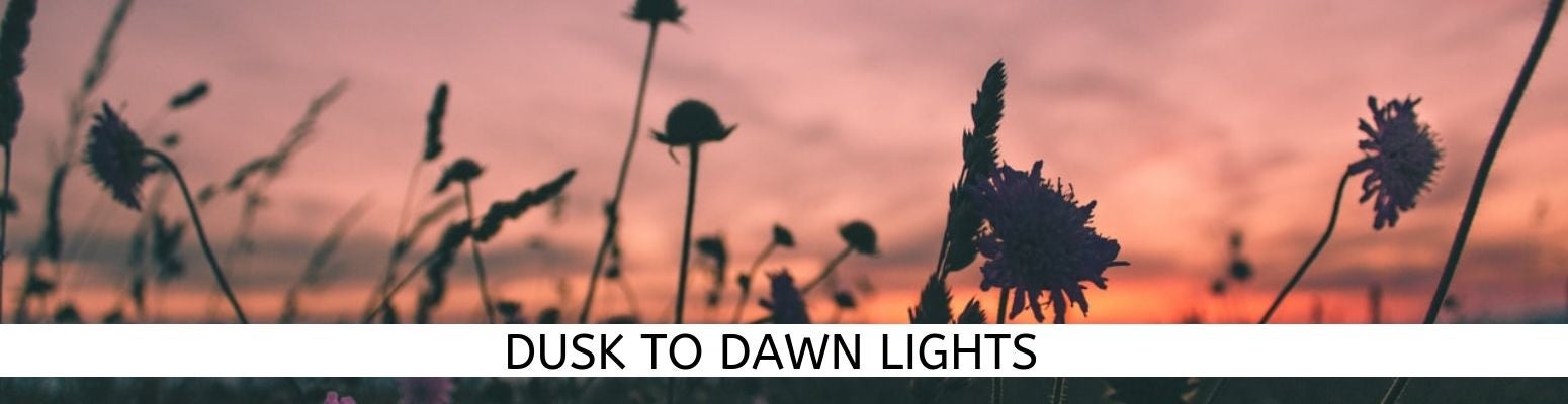 Dusk to Dawn Light